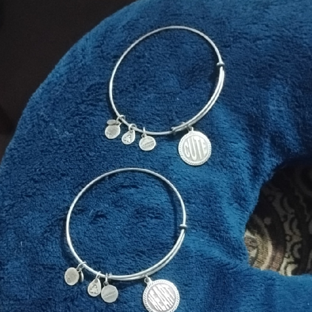 Alex and Ani Silver Charm Bracelet Duo 2/$25